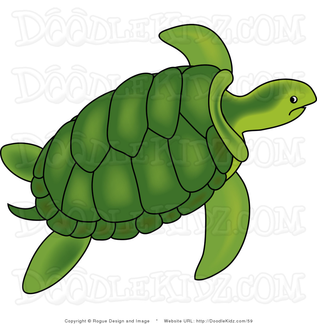 1024x1044 Top 91 Turtle Clip Art