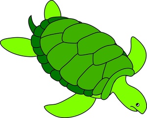 300x241 Clipart Sea Turtle Amp Look At Sea Turtle Clip Art Images