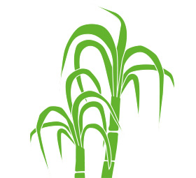 280x255 Sugar Cane Clip Art Clipart Collection