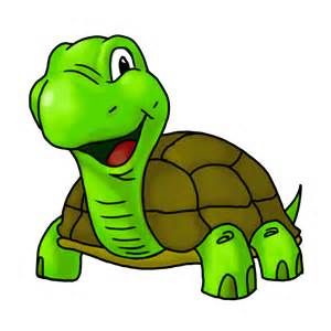 300x300 Turtle Cartoon Photos