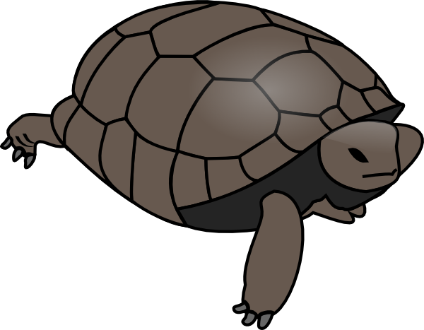 600x467 Turtle Clip Art