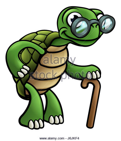 464x540 Clip Art Turtle Stock Photos Amp Clip Art Turtle Stock Images