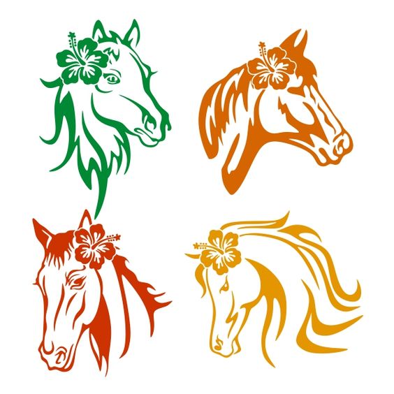 564x564 Horse Clipart Flower