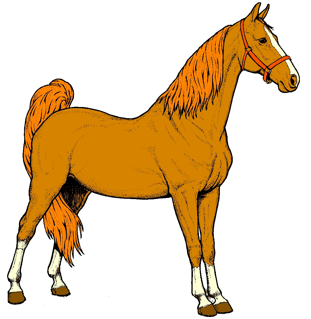 1085x1112 Best Of Clipart Horse Gallery