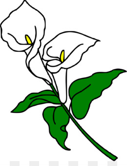 260x340 Free Download Callalily Arum Lily Easter Lily Flower Clip Art