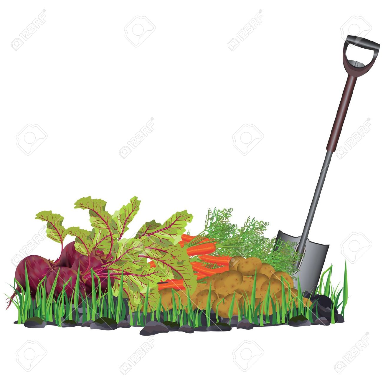 1300x1300 Garden Clipart Boarder Free Collection Download And Share Garden