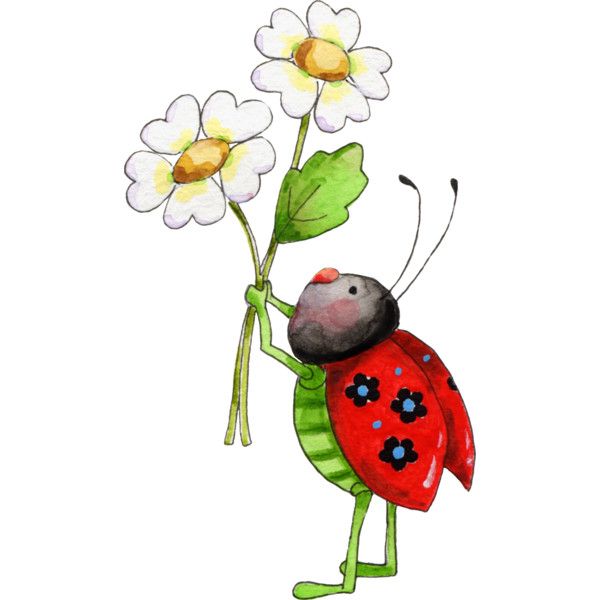 600x600 Pin By Viki On My Polyvore Finds Lady Bugs, Ladybird