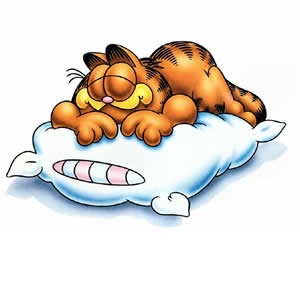 300x300 Collection Of Garfield Clipart Free High Quality, Free