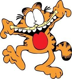 245x268 Collection Of Garfield Face Clipart High Quality, Free