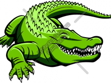 220x165 Alligator Clipart Green Gator Graphic Clipart And Vectorart Sports