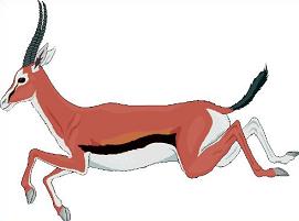271x201 Free Gazelle Clipart