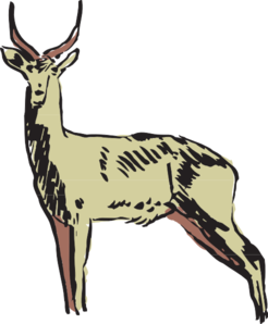 246x298 Green Antelope Drawing Clip Art