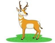 195x152 Top 75 Antelope Clip Art