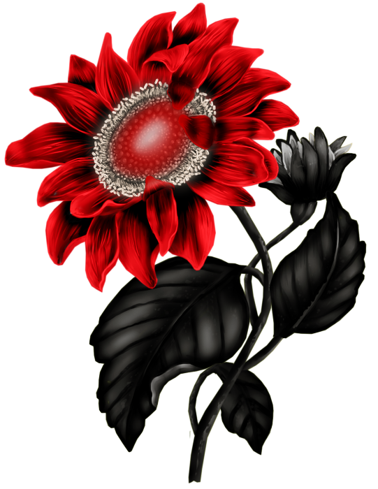 541x700 Flowers, Flores, Flowers, Bloemen, Png Clip Art Flowers And Rock