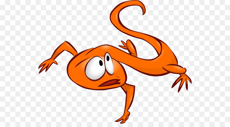 900x500 Lizard Chameleons Common Iguanas Gecko Clip Art