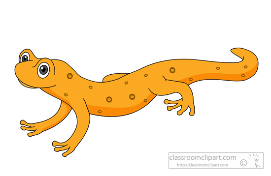 550x358 Orange Clipart Salamander