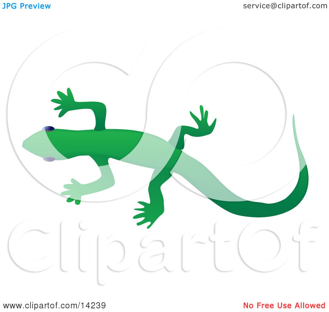1080x1024 Solid Green Gecko Lizard Over A White Background Wildlife Clipart