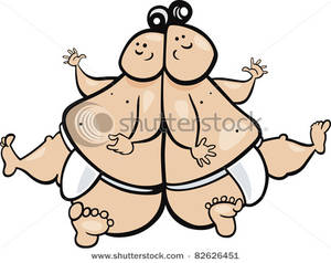 300x238 Two Zodiac Gemini Sumo Wrestlers