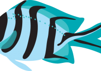 200x140 Fish Clipart Generic Fish Clip Art