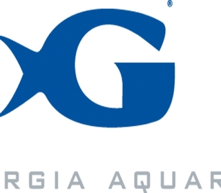 320x280 Georgia Aquarium Atlanta Ga Events Calendar, Venues, And What