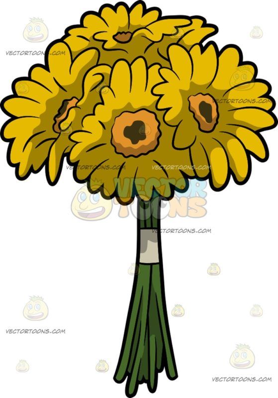 Gerber Daisy Clipart