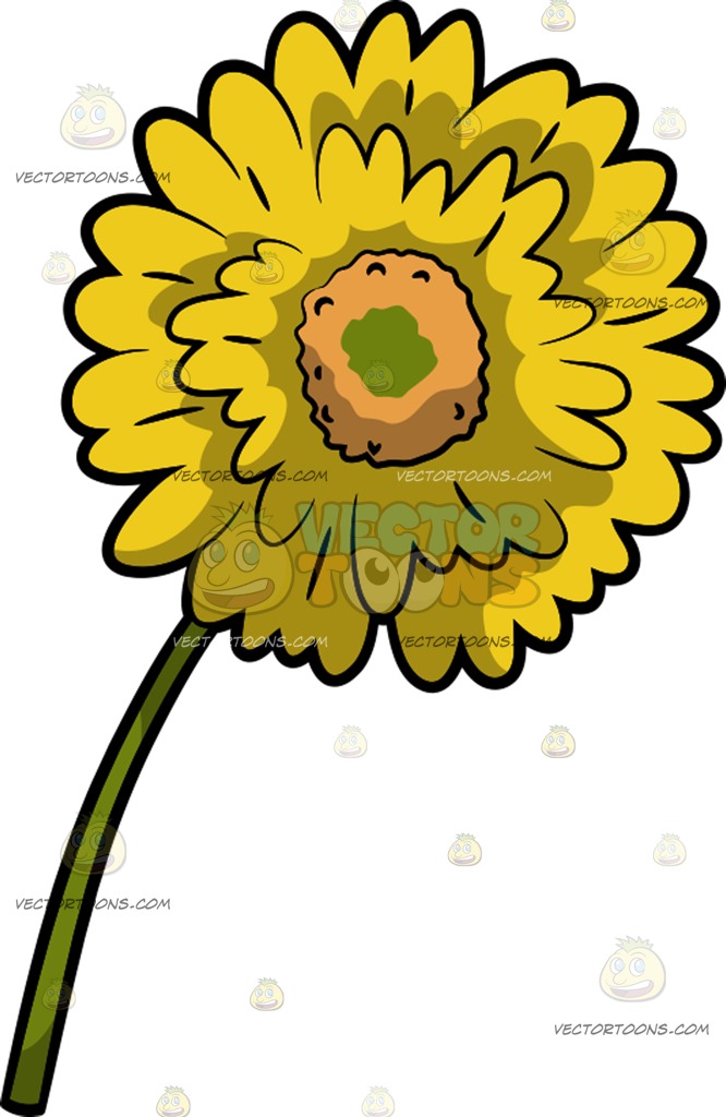 666x1024 A Yellow Gerbera Daisy Flower Cartoon Clipart