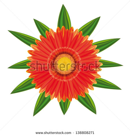 450x470 Gerber Daisy Border Clipart