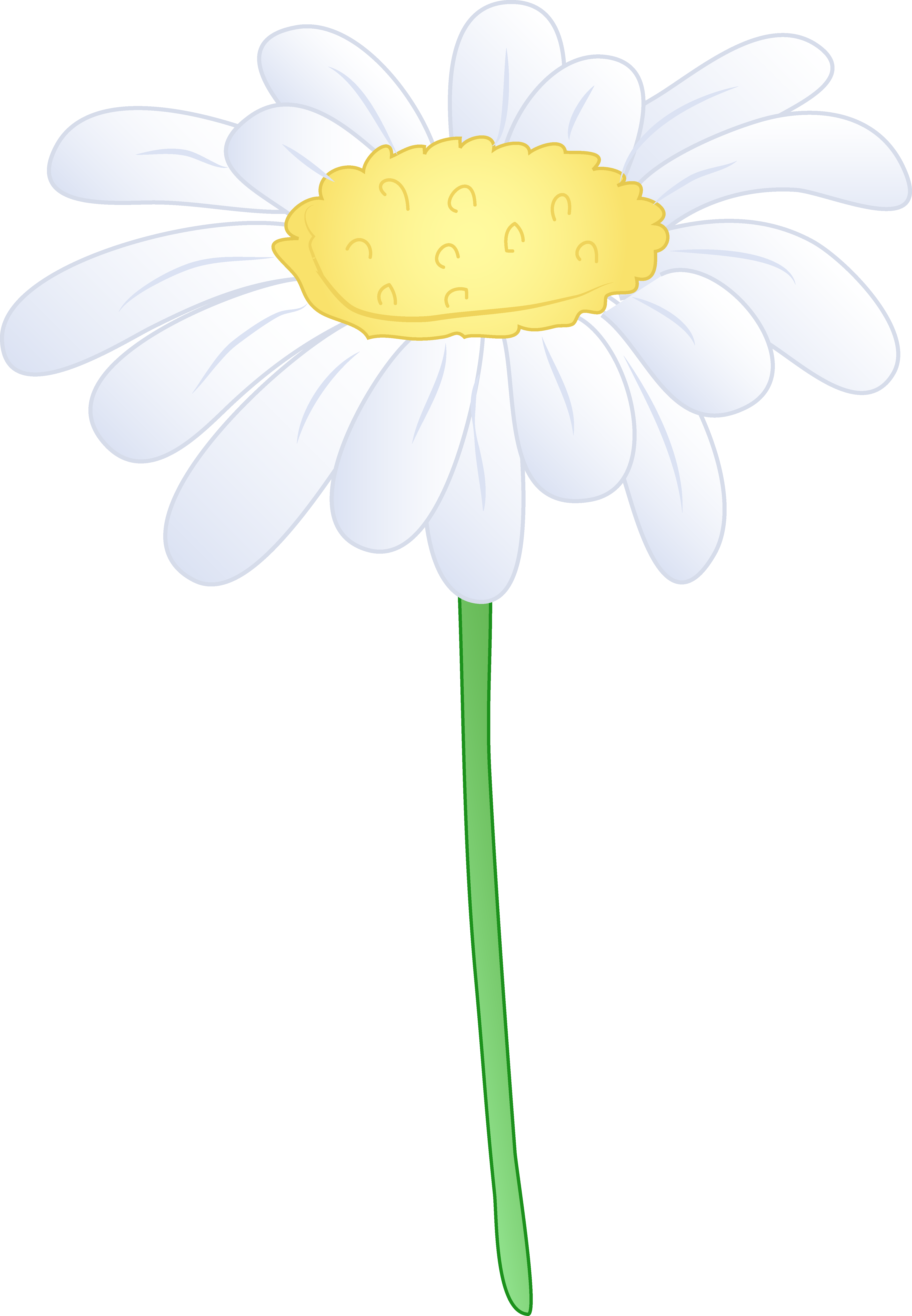 4682x6755 Single White Daisy Flower Free Clip Art