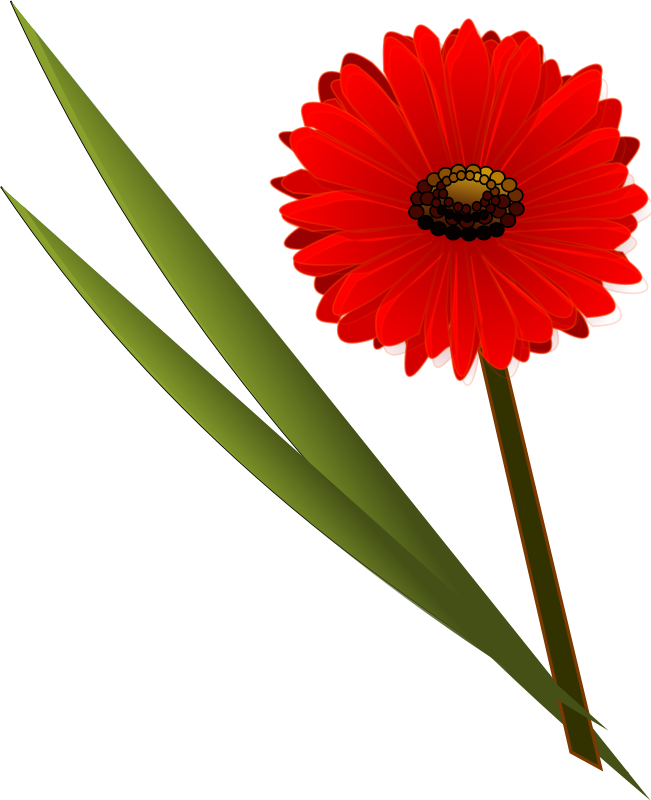 651x800 Flower Clip Art