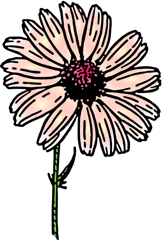 541x800 Free Clipart Colored Daisy 2 Pitr