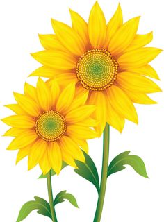 236x320 Free Flower Clip Art, Single Pink Daisy, Gerbera Just Free Image