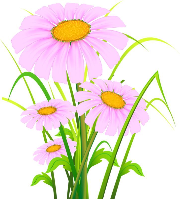 726x800 Pin By Jennifer Walker On Transferr Vintage Wallpaperpictures