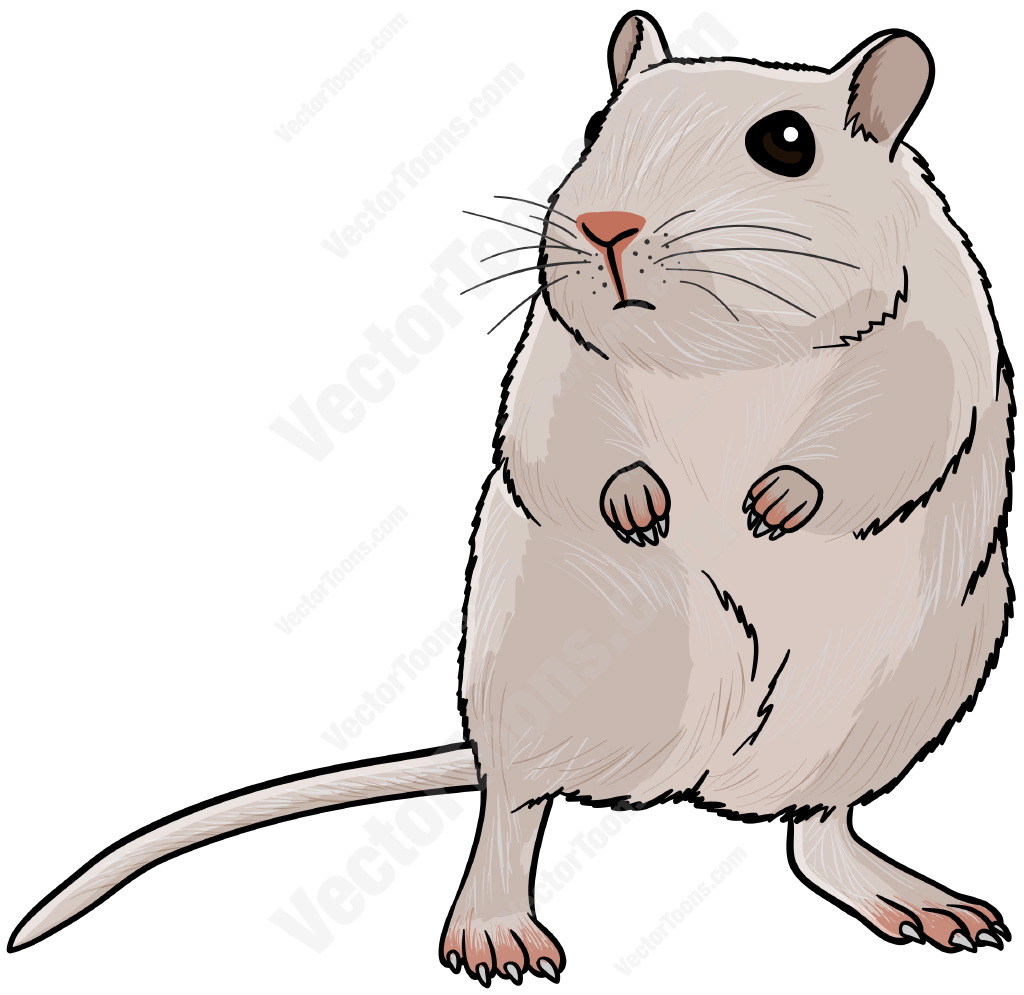 1024x995 Gerbil Clipart Clipart Panda