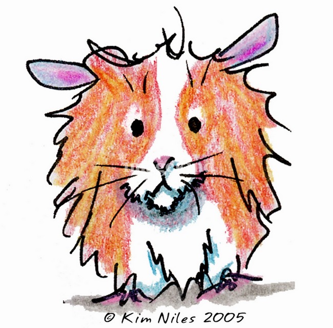 650x640 Top 89 Guinea Pig Clip Art