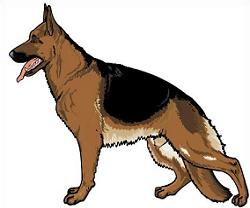 250x208 German Shepherd Clipart