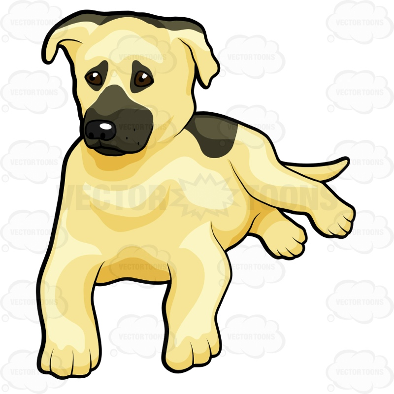 800x800 Cute German Shepherd Puppy Lying Down Cartoon Clipart Vector Toons
