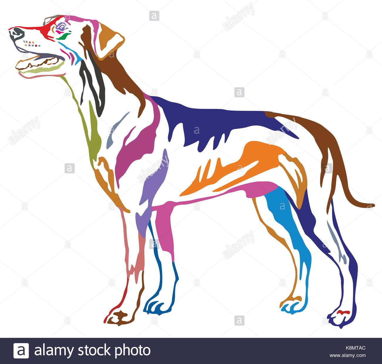 1300x1239 German Dog Cut Out Stock Photos Amp German Dog Cut Out Stock Images