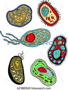 236x312 Bacteria And Virusses Vector Dragonartz Designs Microorganisms