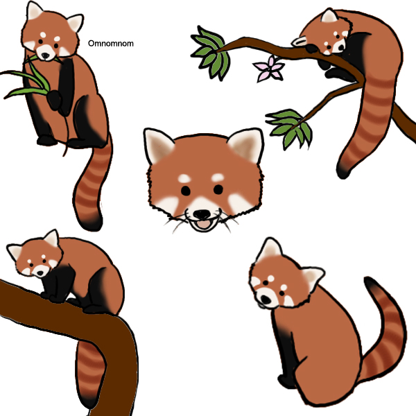 600x600 Top 75 Red Panda Clip Art