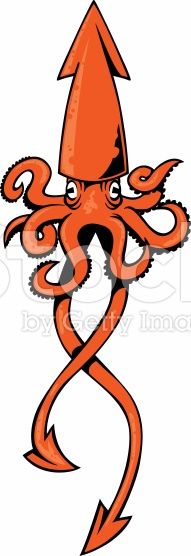 191x556 Squid Illustration