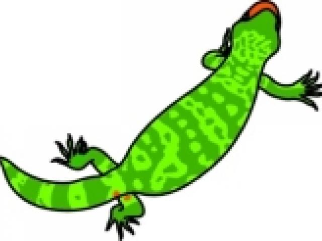 640x480 Gila Monster Clipart