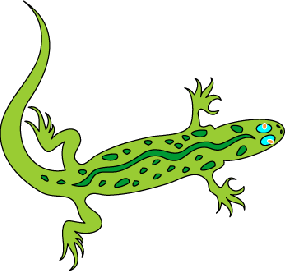288x271 Reptile Clip Art Clipart Collection