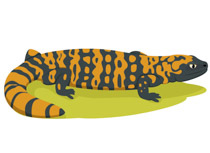210x153 Reptiles Gila Monster Clipart