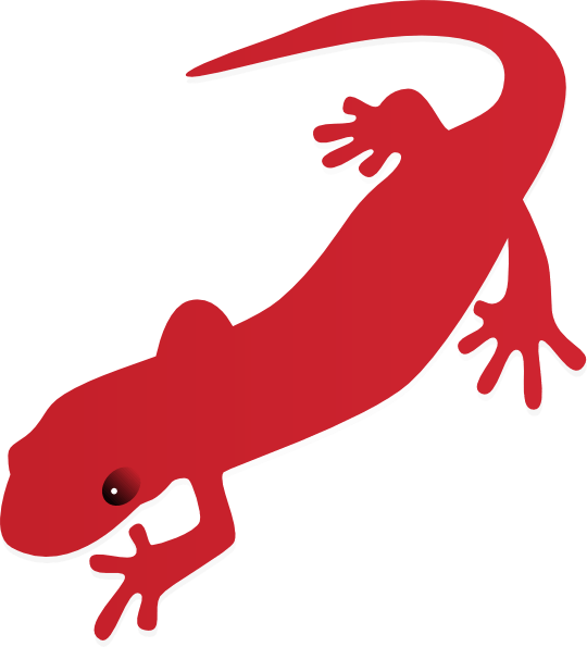 540x595 Salamander Cliparts