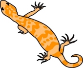 170x139 Search Results For Gila Monster Clipart