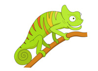 200x145 Search Results For Lizard