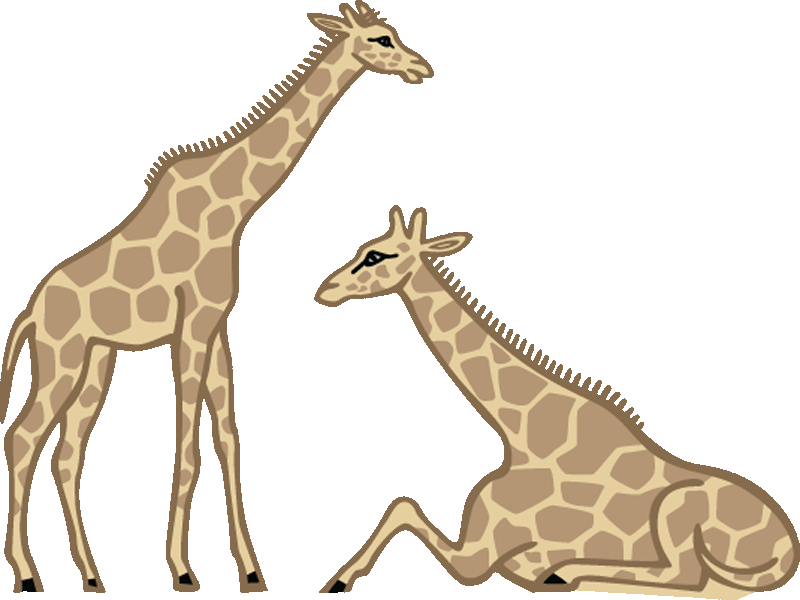 800x600 Giraffe Clip Art Clipart Panda