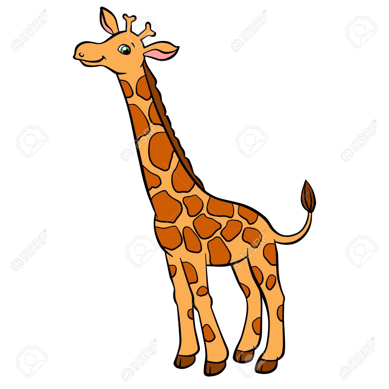 1300x1300 Fortune Giraffe Pictures For Kids Cartoon Wild Animals Little Cute