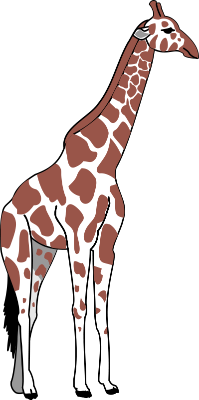 399x800 Giraffe Animal Clipart Pictures Royalty Free Clipart Pictures Org