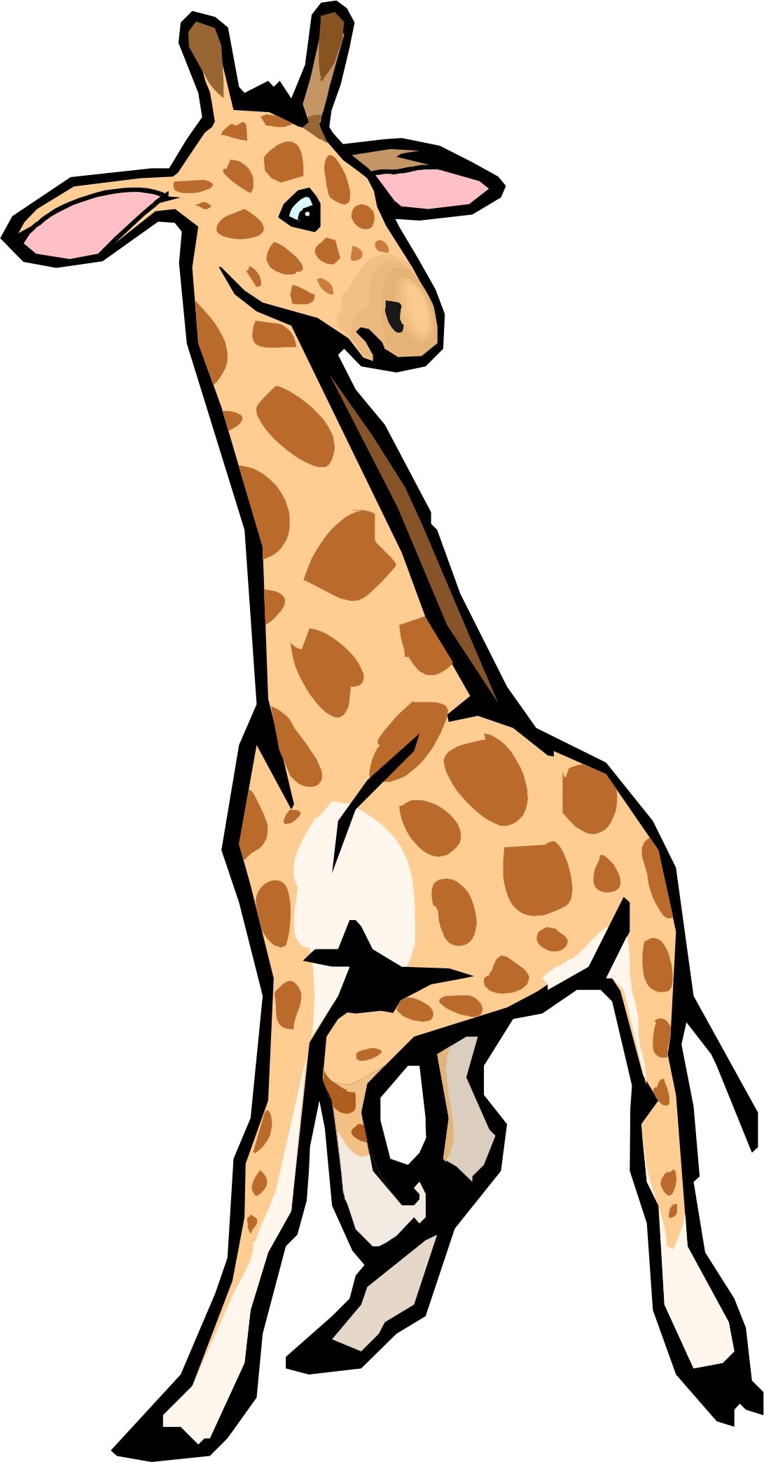 1091x2088 Download Giraffe Clipart